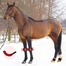 Load image into Gallery viewer, Horse-Photonic-Red-light-Therapy-Hoof
