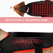 Load image into Gallery viewer, Wearable-Red-light-Therapy-Pad-for-dog-pets
