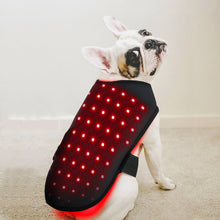 Load image into Gallery viewer, Wearable-Red-light-Therapy-wraps-for-back-of-pets
