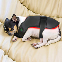 Load image into Gallery viewer, Wearable-Red-light-Therapy-wraps-for-dog-back
