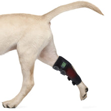 Load image into Gallery viewer, pets-leg-red-light-therapy-wraps-device
